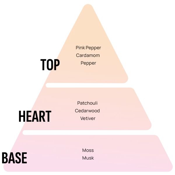 Nước hoa ô tô Areon Car Black Perfume - Ảnh 5