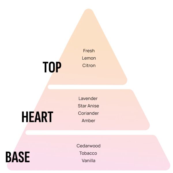 Nước hoa ô tô Areon Car Platinum Perfume 50ml - Ảnh 4